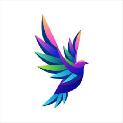 Somy's SK Owned Partner